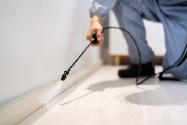 Licensed Termite Control service in Mount Pleasant, NC - Nex Pest Control