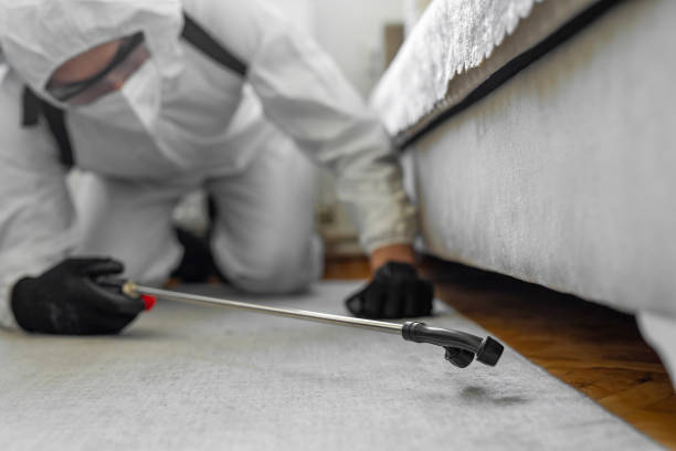 Professional Termite Control technician working in Mount Pleasant, NC