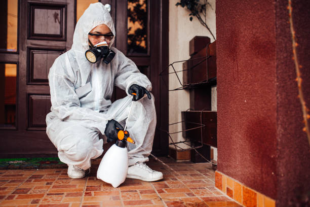 Reliable Termite Control contractor in Mount Pleasant, NC by Nex Pest Control
